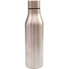 Excellent Houseware Nerūdijančio plieno gertuvė, 450 ml