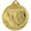 Detal Aukso plieno medalis - Futbolas