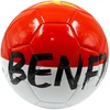 Detal Victoria Sport Futbolo kamuolys SL BENFICA R.5