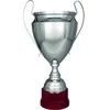 Detal Sidabrinis metalinis T-S puodelis