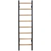 Gimnastikos sienelė BenchK 210B