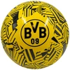 INNA Victoria *****Futbolo kamuolys Borussia Dortmund Tech Sq. 07105