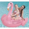 Materac, čiužinys, Pripučiamas čiužinys „Flamingo“ SAULĖS KLUBAS