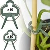 ProGarden Augalų tvirtinimo segtukai 20 vnt. - universali, patvari ir praktiška