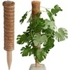 ProGarden Kokosinė augalų atrama 50 cm