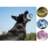 Pets Collection teniso kamuoliukai šunims 3 vnt
