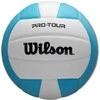 Tinklinio kamuolys Wilson Pro Tour vidinis