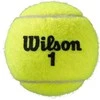 WILSON ROLAND GARROS CLAY COURT (4) teniso kamuoliukai