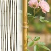 ProGarden bambuko lazdos augalams 60 cm, 10 vnt
