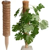 ProGarden Kokosinė augalų atrama 50 cm