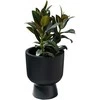Prosperplast Milly gėlių vazonas - antracitas DMBIG240-S433 sk. 239 mm