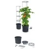 Prosperplast Vazonas Pomidorams Ipom300 24 cm