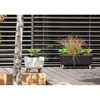 Prosperplast dėžė GRACIA 58x24 cm antracitas