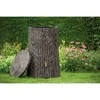 Prosperplast EVERGREEN LIETAUS VANDENS TAKAS 475L UMBRA MEDIENA