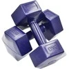 Dviturių hantelių rinkinys 2x6 kg ENERO FIT