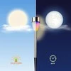 Sodo žibintas Saska Garden Inox, 1 LED RGB, 36,5 cm