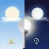 Sodo žibintas Saska Garden Kamuolys, 4 LED, 20 cm