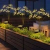 Saska Garden Saulės šviestuvas „Pūkas“