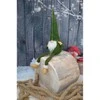 Saska Garden Dekoratyvinis nykštukas žalias 30+15 cm