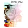 Tryumf Popierinis diplomas - pelėda (25 vnt.) DYP157