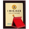 Tryumf Plastikinis diplomas su spalvotu jutikliniu laminatu + korpusas 275x220 mm
