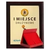 Tryumf Plastikinis diplomas su spalvotu jutikliniu laminatu + korpusas 305x245 mm