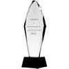 Tryumf Graviruotas stiklo trofėjus H 31 cm