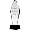 Tryumf Graviruotas stiklo trofėjus H 31 cm