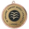 Tryumf Bronzos medalis - lenktyninis - plieno medalis su graviravimu ant laminato