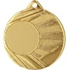 Tryumf MEDAL Z MIEJSCEM NA WKLEJKĘ Auksinė ŚR 50mm