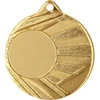 Tryumf MEDAL Z MIEJSCEM NA WKLEJKĘ Auksinė ŚR 50mm