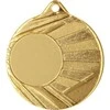 Tryumf MEDAL Z MIEJSCEM NA WKLEJKĘ Auksinė ŚR 50mm