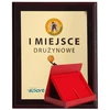 Tryumf Plastikinis diplomas su spalvotu jutikliniu laminatu + korpusas 305x245 mm