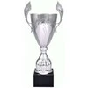 Tryumf Sidabrinis metalinis puodelis 4127D