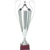 Tryumf Sidabrinis metalinis puodelis T-D 1042-N/C