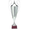 Tryumf Sidabrinis metalinis puodelis T-D 1042-N/C