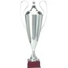 Tryumf Sidabrinis metalinis puodelis T-D 1042-N/C