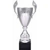 Tryumf Sidabrinis metalinis puodelis 4127A