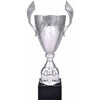 Tryumf Sidabrinis metalinis puodelis 4127D