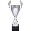 Tryumf Sidabrinis metalinis puodelis 4127D
