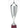 Tryumf Sidabrinis metalinis puodelis T-D 1042-N/C