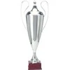 Tryumf Sidabrinis metalinis puodelis T-D 1042-N/B