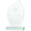 Tryumf 3D graviruotas stiklo trofėjus su dėklu