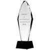 Tryumf Graviruotas stiklo trofėjus H 31 cm