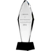 Tryumf Graviruotas stiklo trofėjus H 31 cm