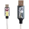 Rick Morty Šviečiantis laidas Lazerbuilt Rick and Morty USB A to USB C
