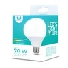 TelForceone LED lemputė E27 G95 10W 230V 4500K 950lm Forever Light