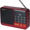 Setty mini FM radio + Bluetooth garsiakalbis SFM-01M