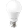„Telforceone Forever Light“ LED lemputė E27 A55 4W 480lm 3000K E klasė