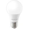 „Telforceone Forever Light“ LED lemputė E27 A60 7W 806lm 4000K E klasė